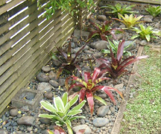 Landscaping-img2