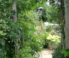 Landscaping-img5