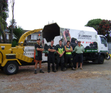 TreeServices-img1