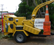 TreeServices-img7